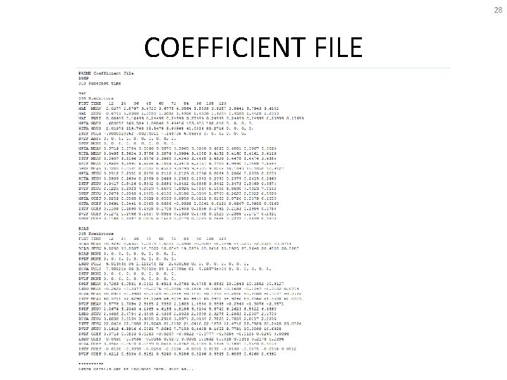 28 COEFFICIENT FILE 