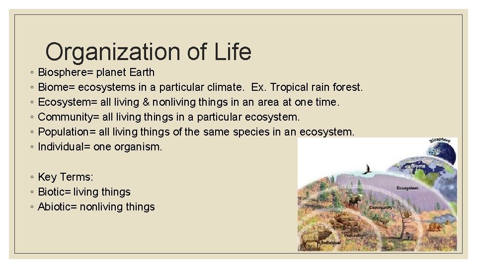 Organization of Life ◦ Biosphere= planet Earth ◦ Biome= ecosystems in a particular climate.