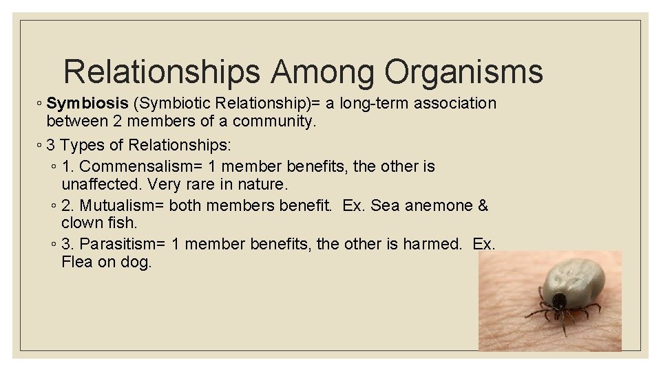 Relationships Among Organisms ◦ Symbiosis (Symbiotic Relationship)= a long-term association between 2 members of