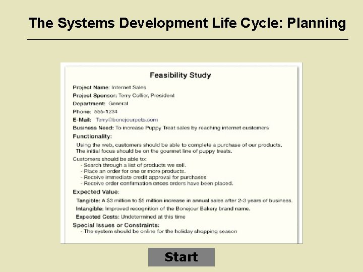 The Systems Development Life Cycle: Planning Start 