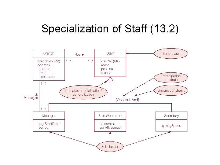 Specialization of Staff (13. 2) 