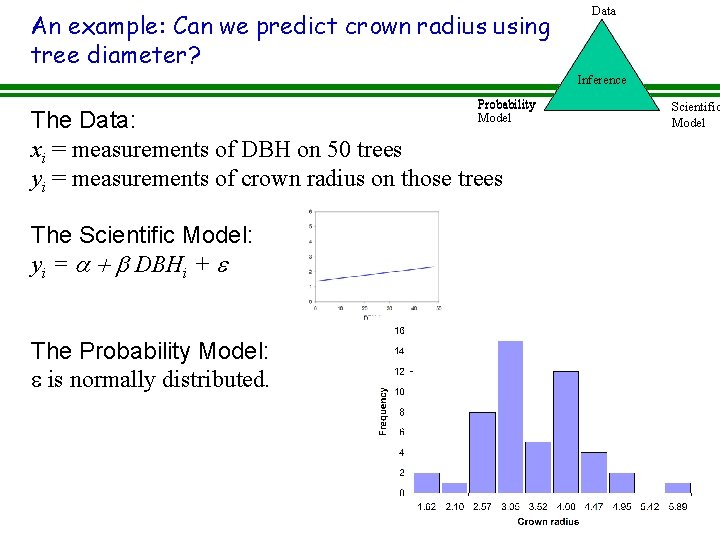 An example: Can we predict crown radius using tree diameter? Data Inference Probability Model