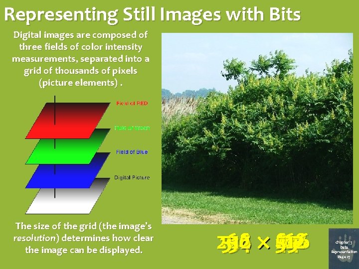 Representing Still Images with Bits Digital images are composed of three fields of color