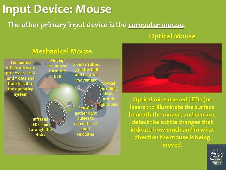 Input Device: Mouse The other primary input device is the computer mouse. Optical Mouse