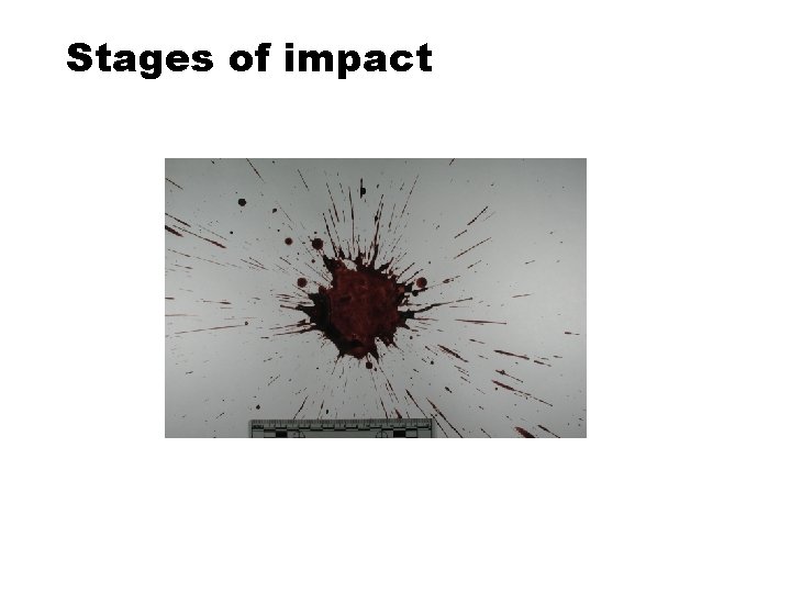 Stages of impact 