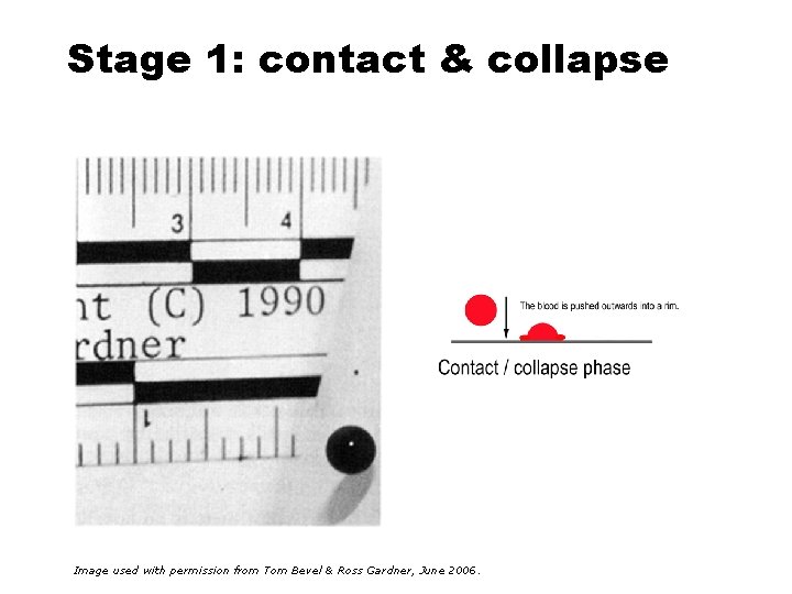 Stage 1: contact & collapse Image used with permission from Tom Bevel & Ross