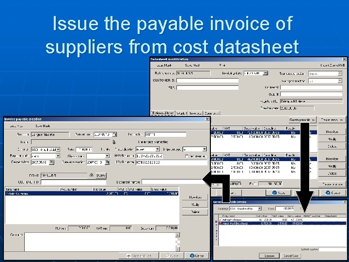 Issue the payable invoice of suppliers from cost datasheet 