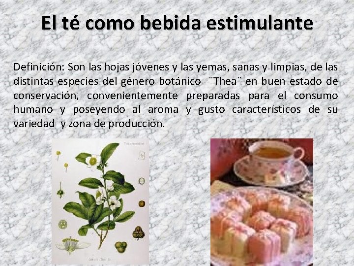 El té como bebida estimulante Definición: Son las hojas jóvenes y las yemas, sanas