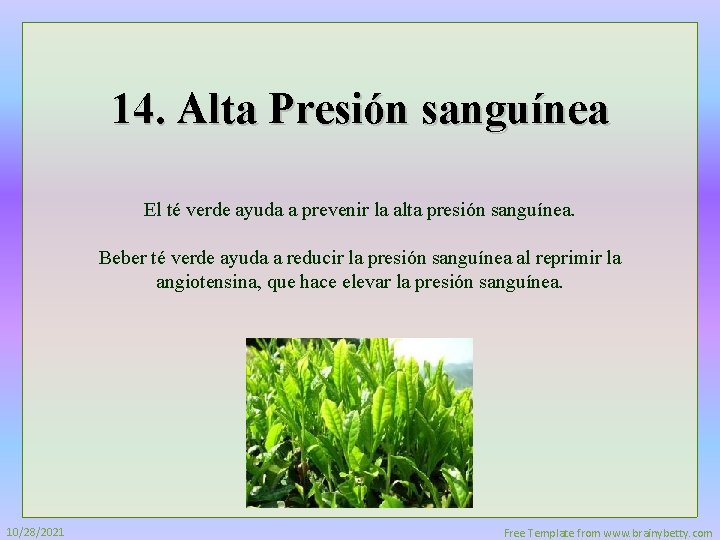 14. Alta Presión sanguínea El té verde ayuda a prevenir la alta presión sanguínea.