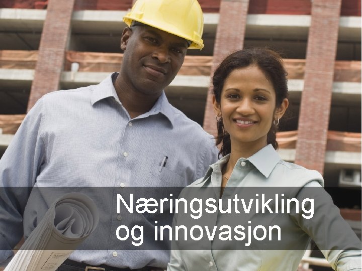 Næringsutvikling og innovasjon 