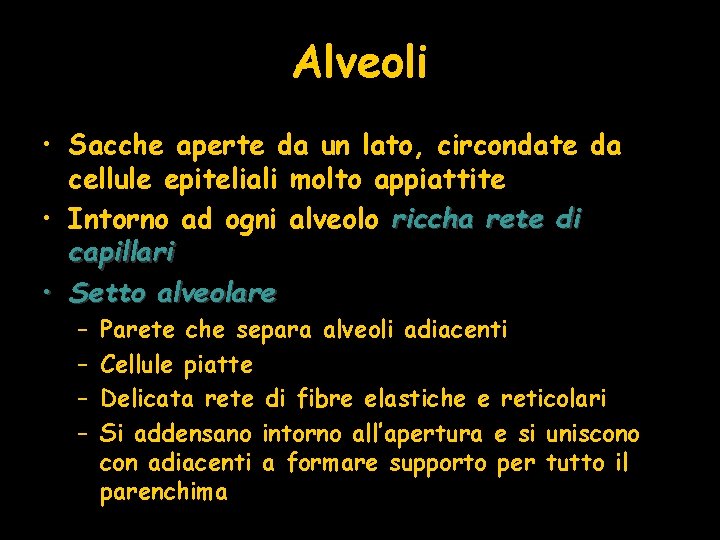 Alveoli • Sacche aperte da un lato, circondate da cellule epiteliali molto appiattite •