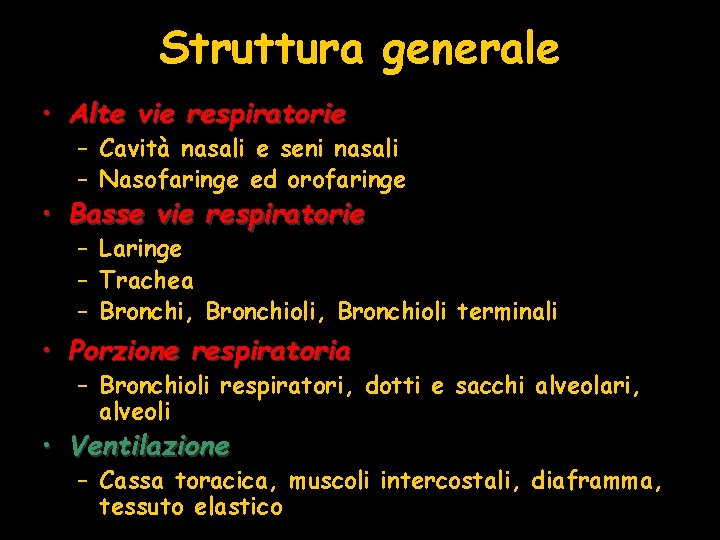 Struttura generale • Alte vie respiratorie – Cavità nasali e seni nasali – Nasofaringe