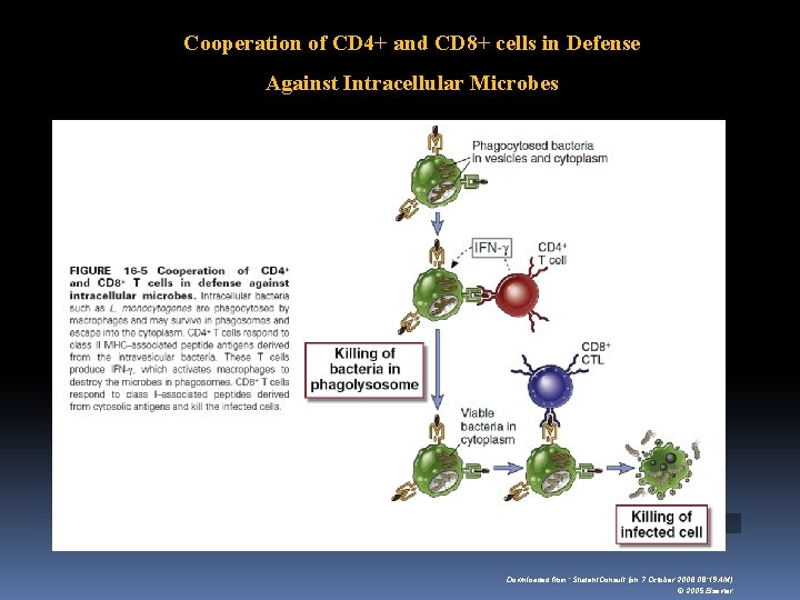 Cooperation of CD 4+ and CD 8+ cells in Defense Against Intracellular Microbes Downloaded