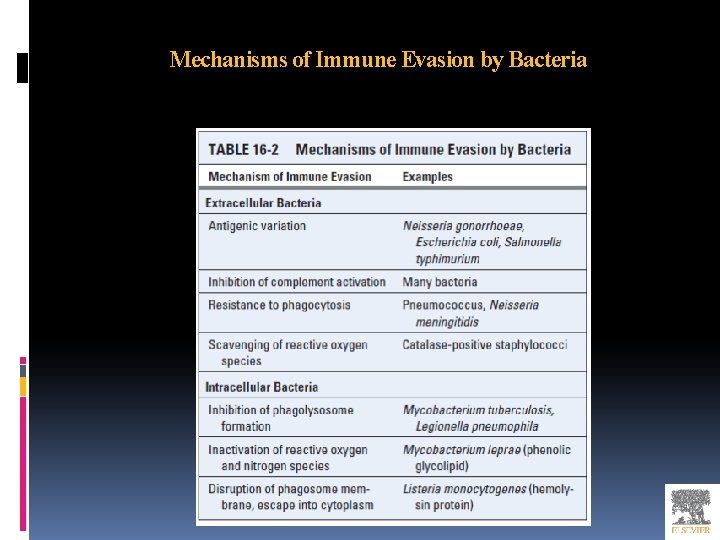 Mechanisms of Immune Evasion by Bacteria 