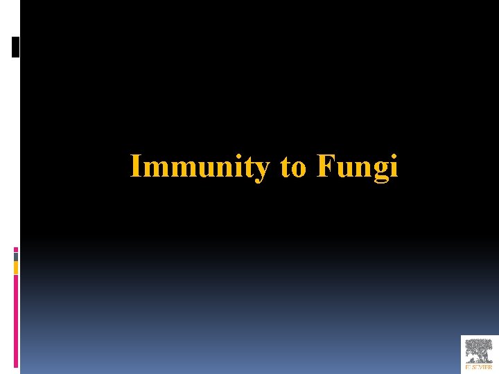 Immunity to Fungi 