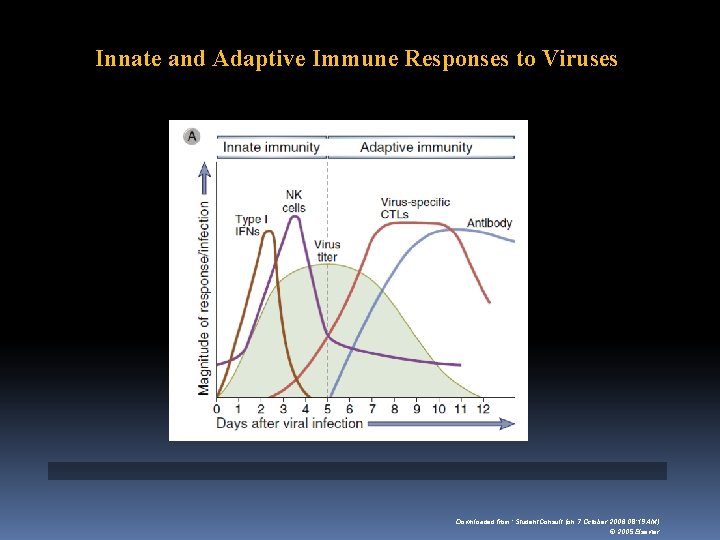 Innate and Adaptive Immune Responses to Viruses Downloaded from: Student. Consult (on 7 October