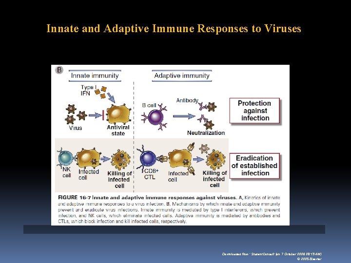 Innate and Adaptive Immune Responses to Viruses Downloaded from: Student. Consult (on 7 October