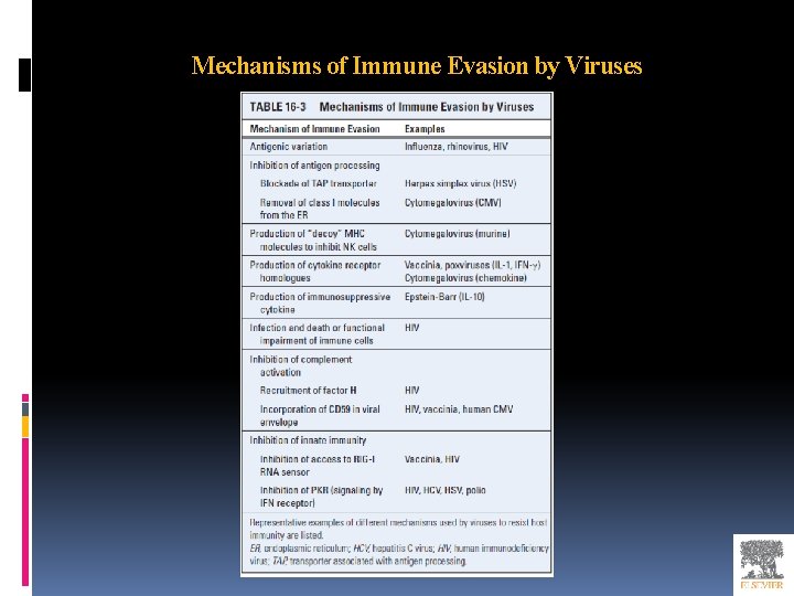 Mechanisms of Immune Evasion by Viruses 