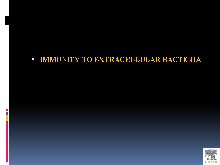  IMMUNITY TO EXTRACELLULAR BACTERIA 