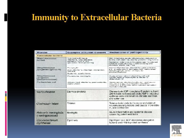 Immunity to Extracellular Bacteria 