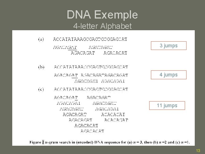 DNA Exemple 4 -letter Alphabet 3 jumps 4 jumps 11 jumps 13 