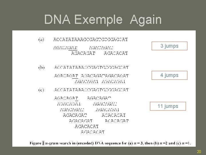 DNA Exemple Again 3 jumps 4 jumps 11 jumps 20 