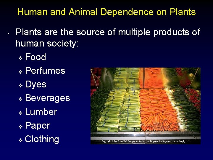 Human and Animal Dependence on Plants • Plants are the source of multiple products