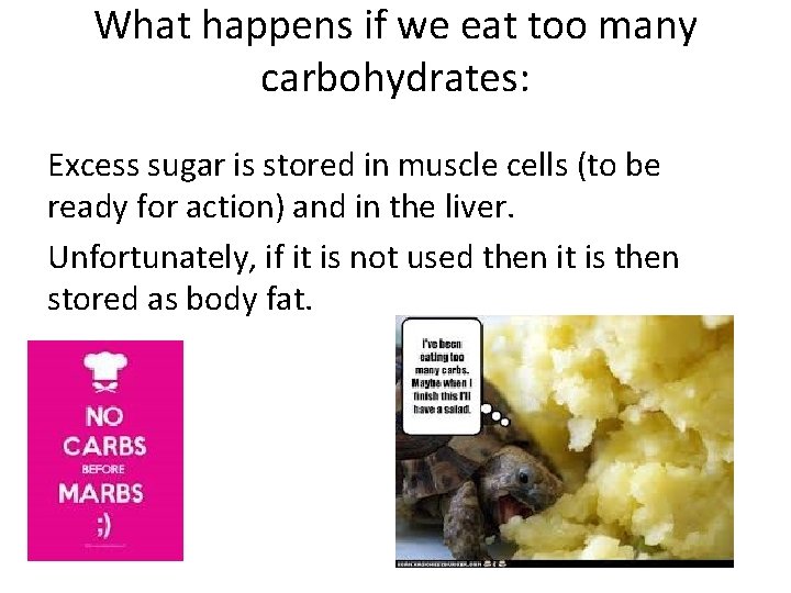 What happens if we eat too many carbohydrates: Excess sugar is stored in muscle