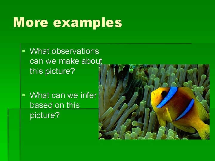 More examples § What observations can we make about this picture? § What can