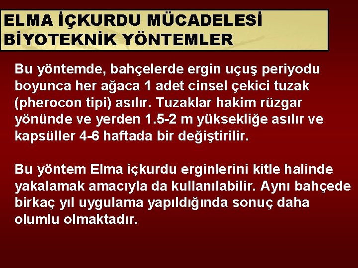 ELMA İÇKURDU MÜCADELESİ BİYOTEKNİK YÖNTEMLER Bu yöntemde, bahçelerde ergin uçuş periyodu boyunca her ağaca