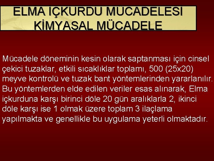 ELMA İÇKURDU MÜCADELESİ KİMYASAL MÜCADELE Mücadele döneminin kesin olarak saptanması için cinsel çekici tuzaklar,