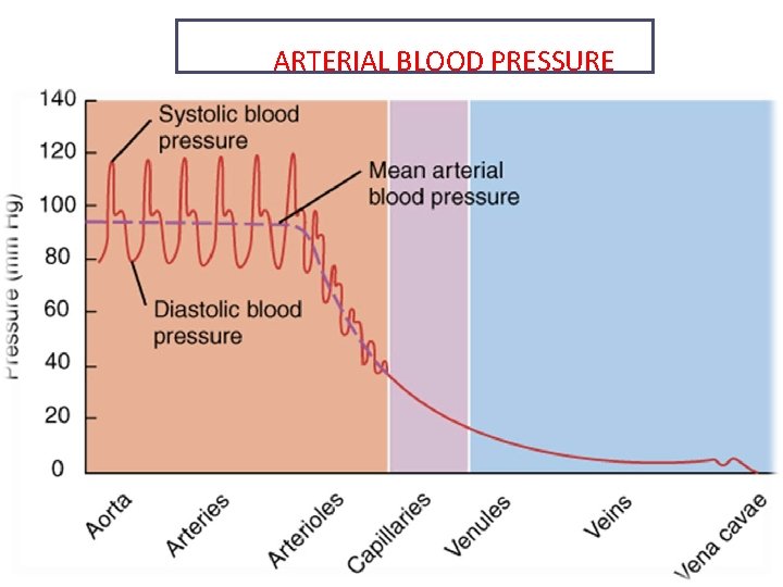 ARTERIAL BLOOD PRESSURE 