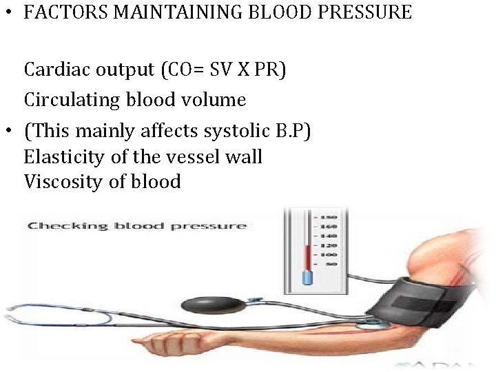 • FACTORS MAINTAINING BLOOD PRESSURE 1. Cardiac output (CO= SV X PR) 2.