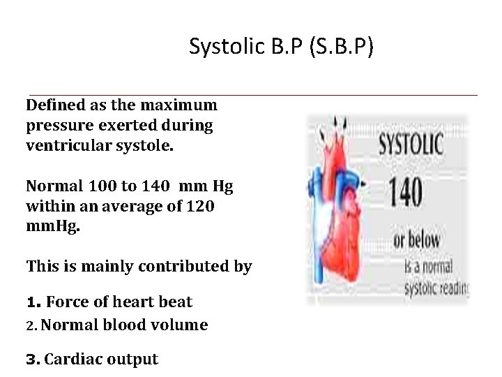 Systolic B. P (S. B. P) Defined as the maximum pressure exerted during ventricular