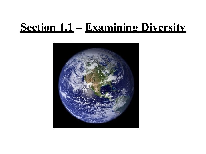 Section 1. 1 – Examining Diversity 