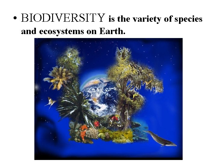  • BIODIVERSITY is the variety of species and ecosystems on Earth. 