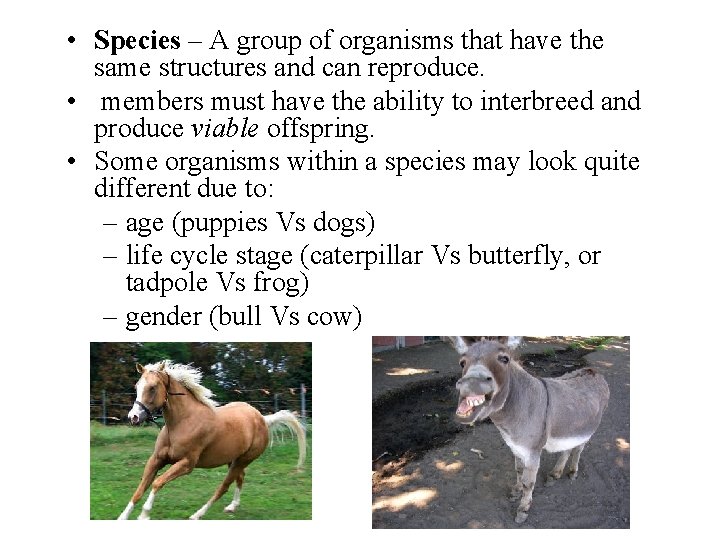  • Species – A group of organisms that have the same structures and