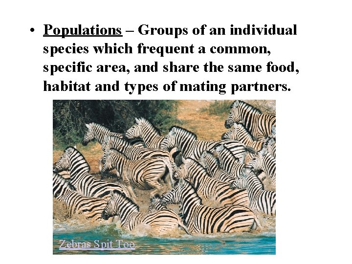  • Populations – Groups of an individual species which frequent a common, specific