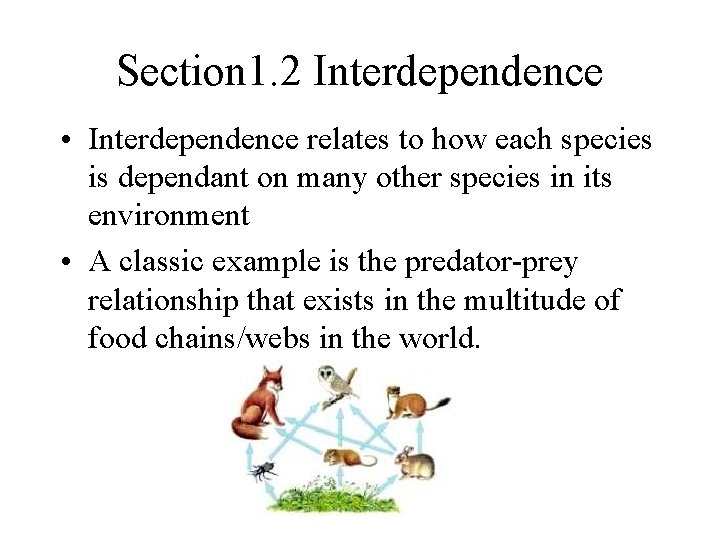 Section 1. 2 Interdependence • Interdependence relates to how each species is dependant on