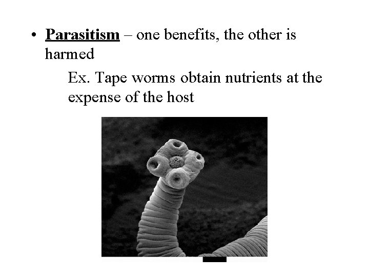  • Parasitism – one benefits, the other is harmed Ex. Tape worms obtain