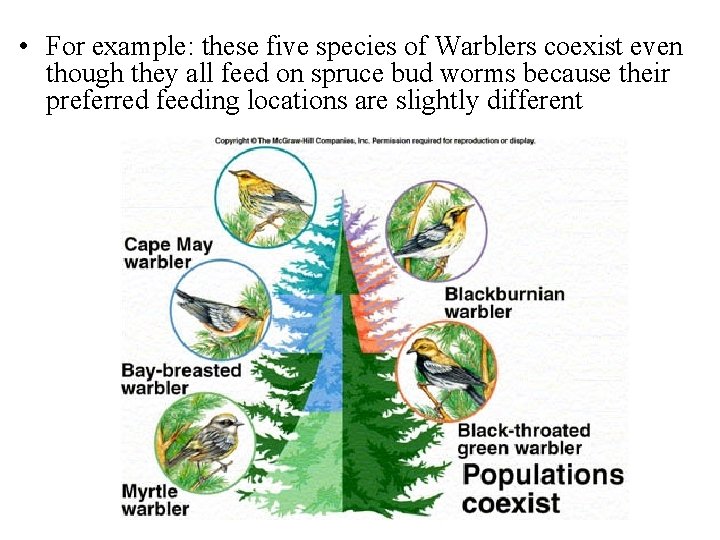  • For example: these five species of Warblers coexist even though they all