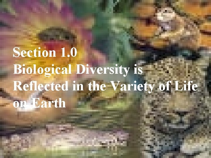 Section 1. 0 Biological Diversity is Reflected in the Variety of Life on Earth