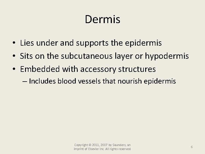 Dermis • Lies under and supports the epidermis • Sits on the subcutaneous layer