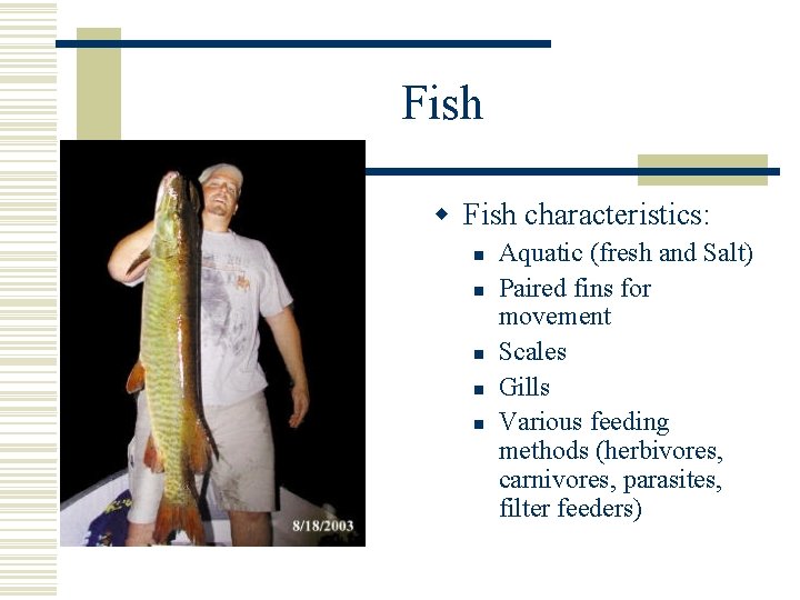 Fish w Fish characteristics: n n n Aquatic (fresh and Salt) Paired fins for