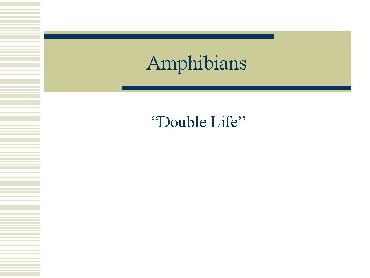 Amphibians “Double Life” 