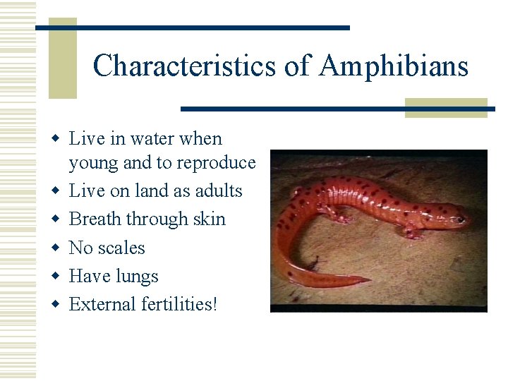 Characteristics of Amphibians w Live in water when young and to reproduce w Live