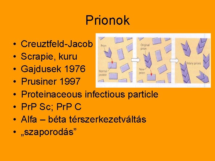 Prionok • • Creuztfeld-Jacob Scrapie, kuru Gajdusek 1976 Prusiner 1997 Proteinaceous infectious particle Pr.