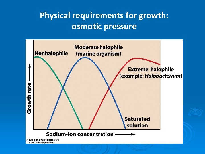 Physical requirements for growth: osmotic pressure 