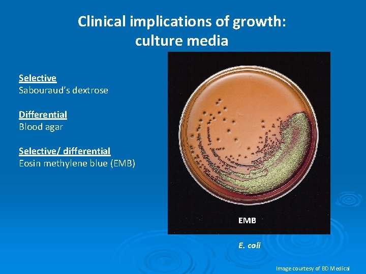 Clinical implications of growth: culture media Selective Sabouraud’s dextrose Differential Blood agar Selective/ differential