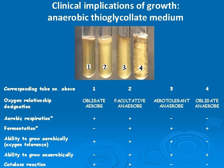 Clinical implications of growth: anaerobic thioglycollate medium Corresponding tube no. above 1 2 3